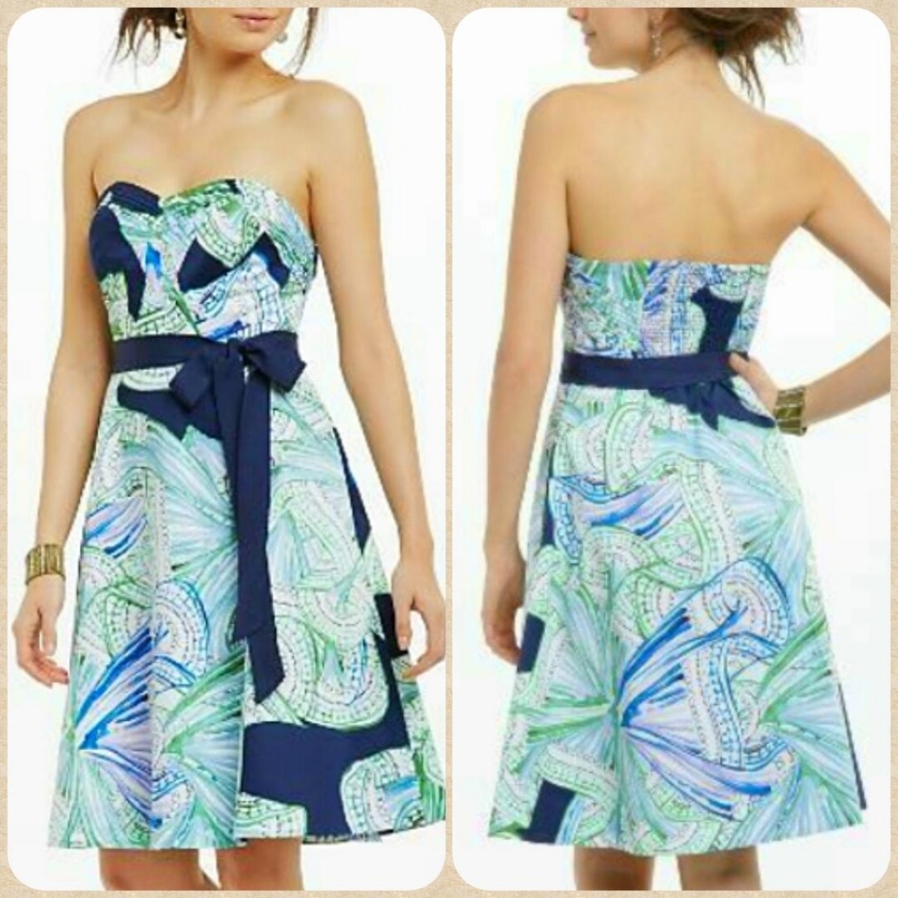 🆕Anthropologie🌷Vintage Tea A-line Dress
